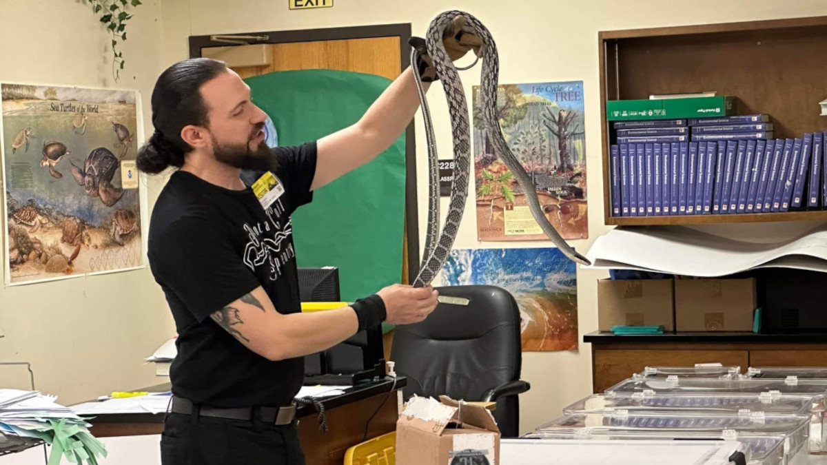 Adam presenting a snake during a reptile education outreach visit